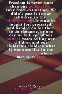 ronald reagan freedom quote meaning