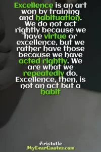aristotle excellence is never an accident