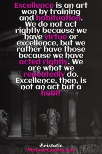 excellence is never an accident meaning