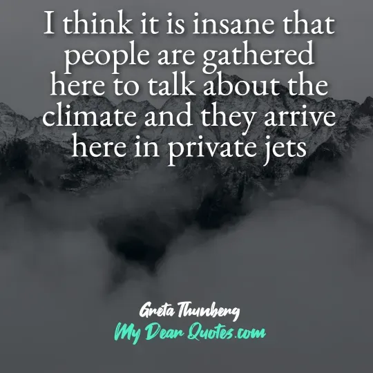 A quote from Greta Thunberg against a background of dark, rocky mountains shrouded in mist or clouds. The quote reads: "I think it is insane that people are gathered here to talk about the climate and they arrive here in private jets." Below the quote, it says "Greta Thunberg" and "My Dear Quotes.com".