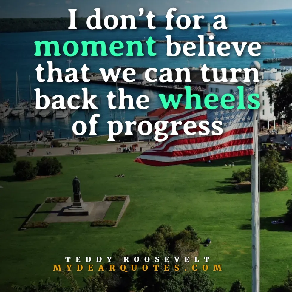 teddy roosvelt quote about progress