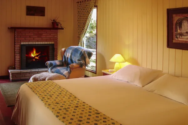Electric Fireplace