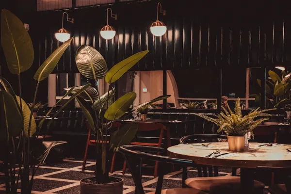 Paris restaurant
