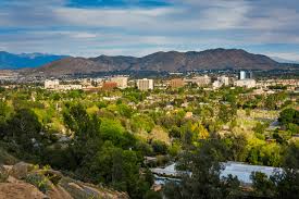 What Residents Should Know About Year-Round Pest Challenges in Riverside