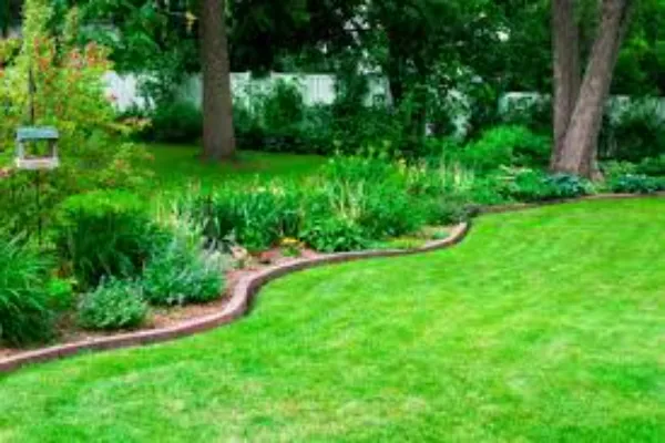 7 Sustainable Lawn Care Practices For A Greener Yard