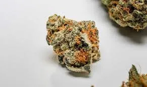 A close-up shot of a single, trichome-covered marijuana bud with orange hairs on a white background.
