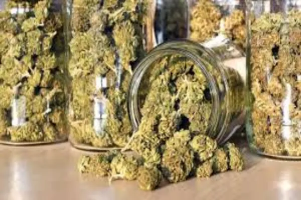 The Essential Checklist for Selecting a Quality Weed Dispensary
