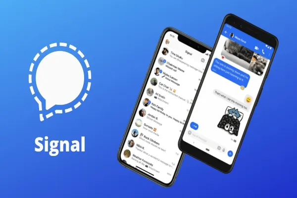 The Hidden Signals That Make Us Choose One Platform Over Another
