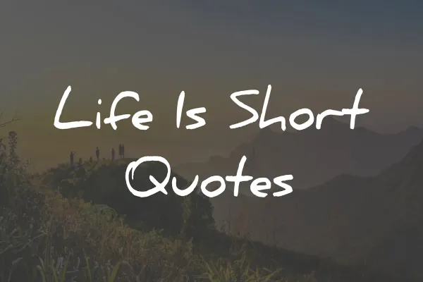 The Psychology of a Good Quote: Why Some Lines Stay With Us for Life