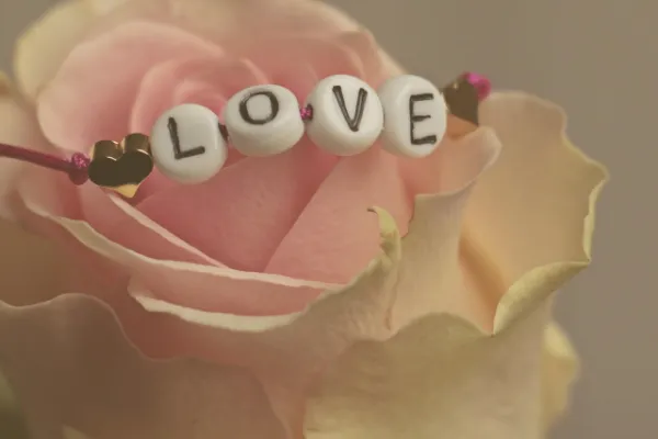 A delicate beaded bracelet spelling out the word "LOVE" is gently placed on the soft, pink petals of an open rose.