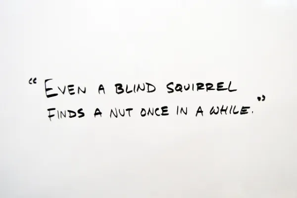 Funny Quotes for Laughter and Stress Relief