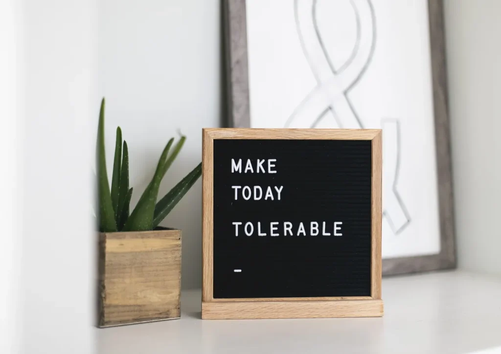 A black felt letter board in a wooden frame with the white text "MAKE TODAY TOLERABLE" next to a potted succulent plant.