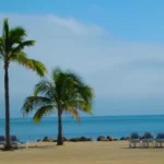 A serene, sunny beach scene with two palm trees on white sand, leading to calm blue water, with a row of empty white lounge chairs suggesting a quiet, accessible, and relaxing weekend getaway destination.